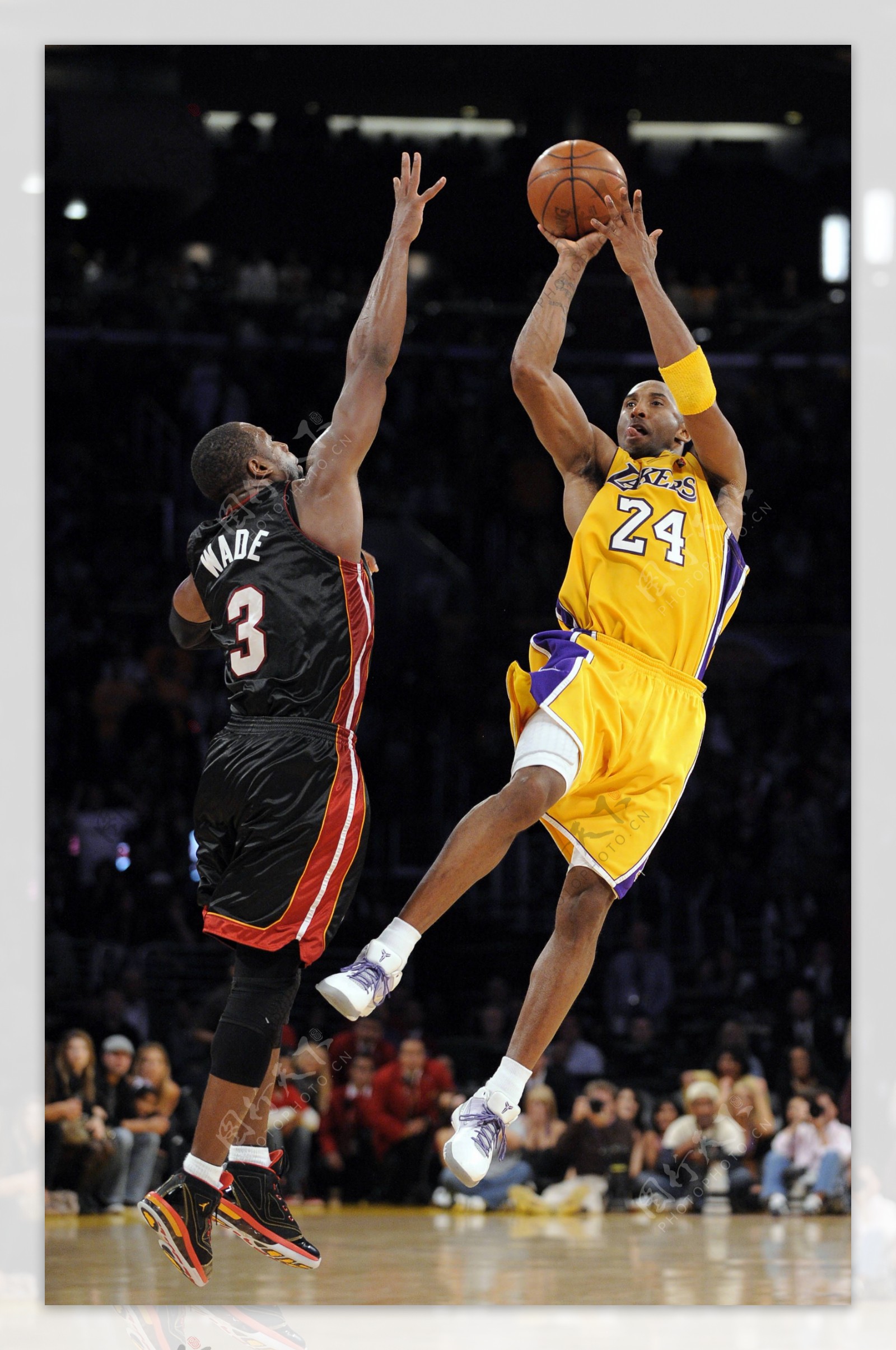 别错过树根 别错过树根