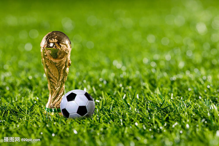 的轴心点组 的轴心点组