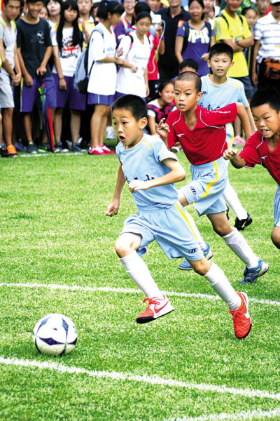 数据与治理 数据与治理